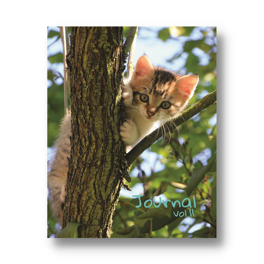Volume 11: Climbing Higher