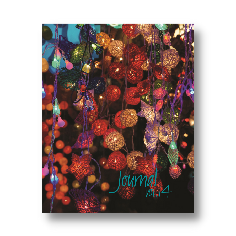 Volume 14: Illuminated Path