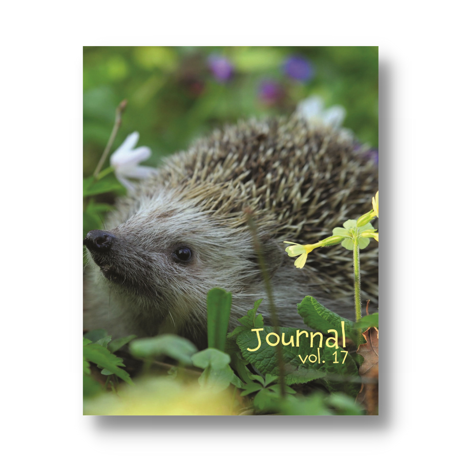Volume 17: Hedgehog Hug