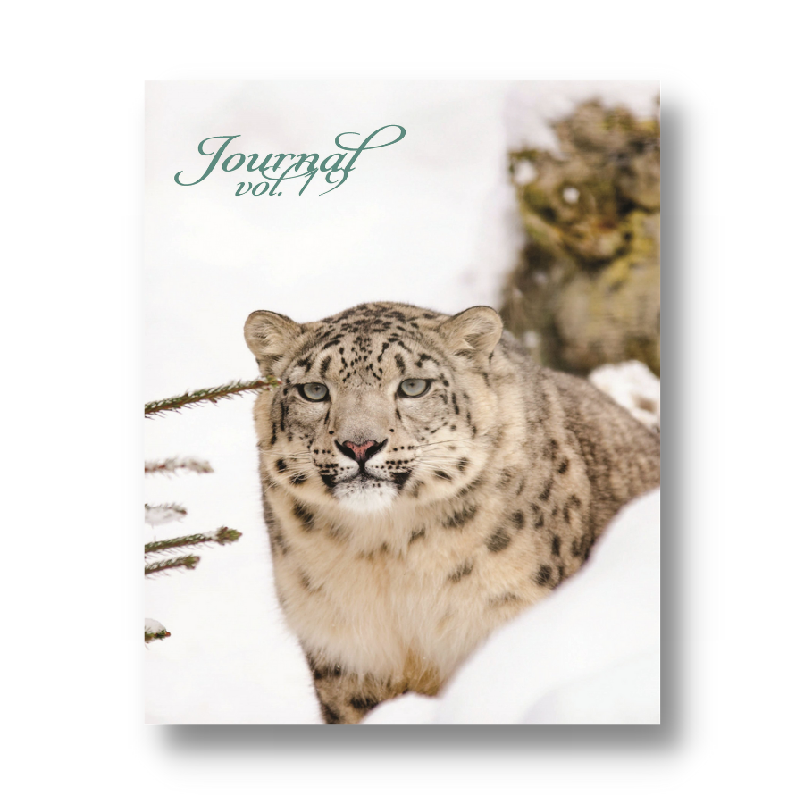 Volume 19: Snow Cat Serenity