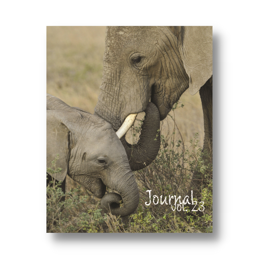 Volume 23: Elephant Embrace