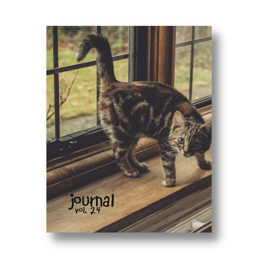 Unscripted Journey Journal Volume 24: The Challenge