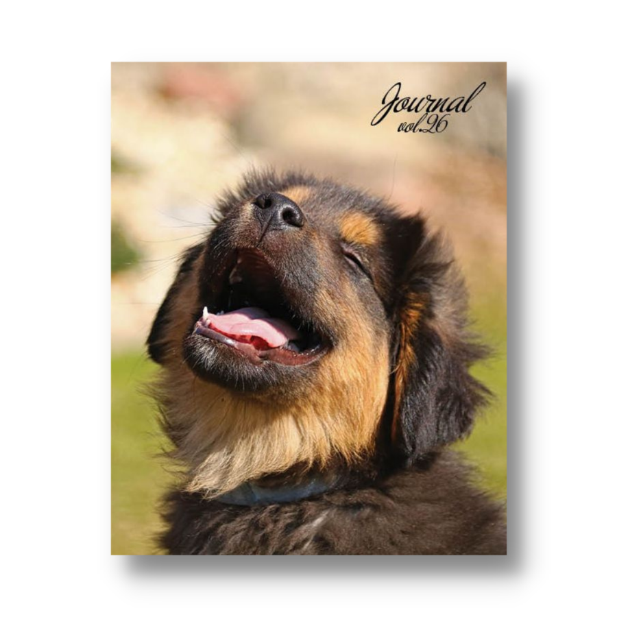 Unscripted Journey Journal Volume 26: Joy and Sunshine