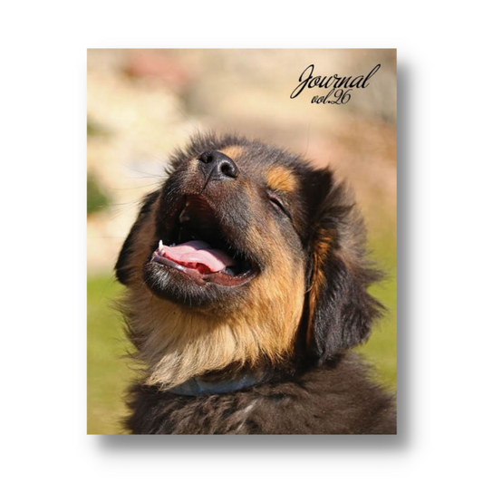 Unscripted Journey Journal Volume 26: Joy and Sunshine