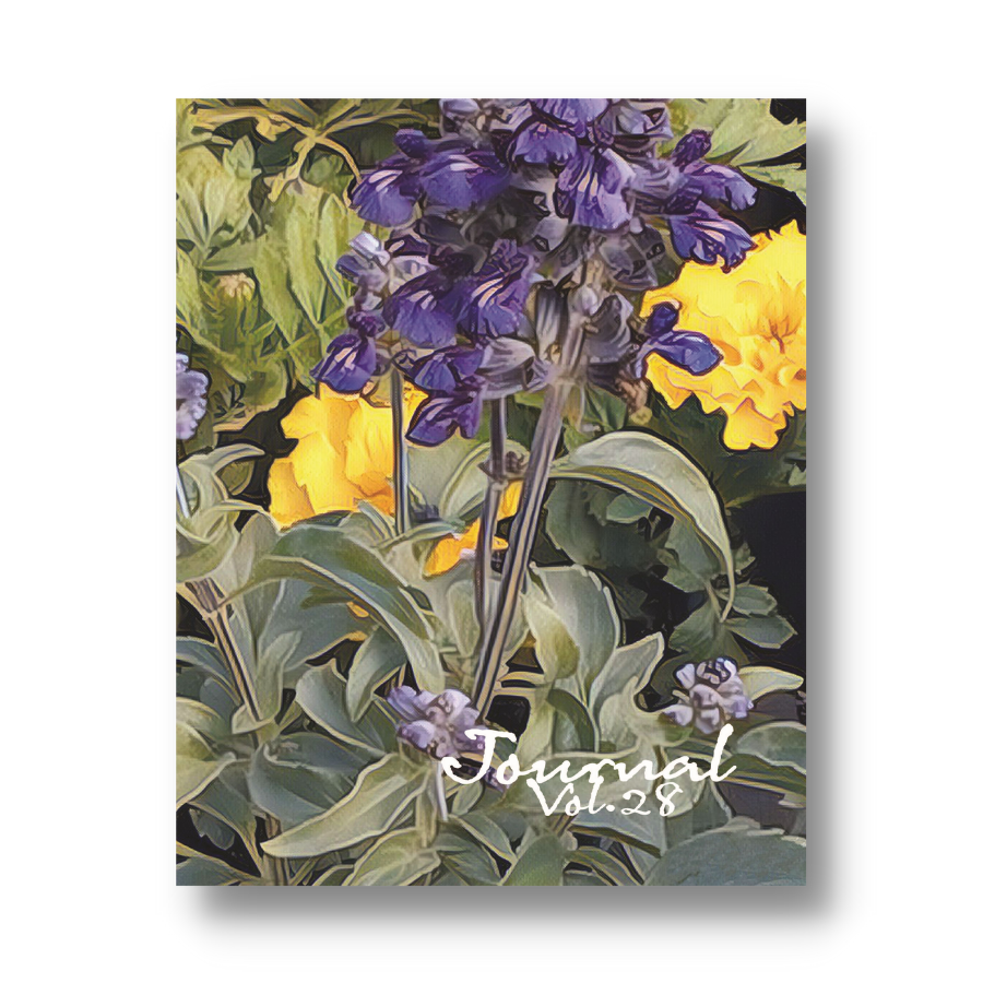 Volume 28: Bloom Wild