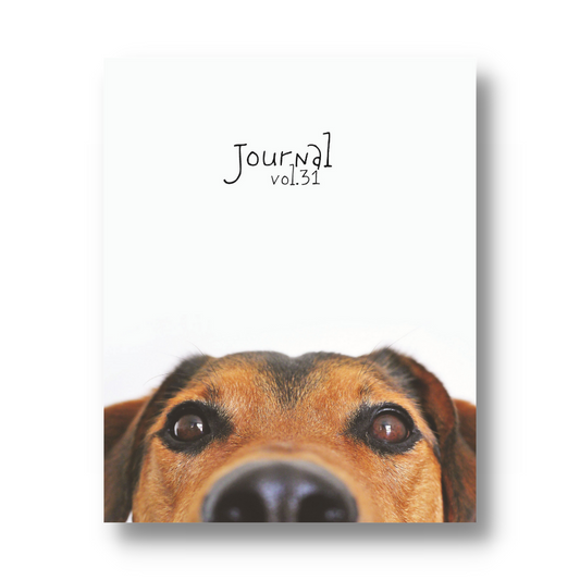 Volume 31: Pawsitive Perspective